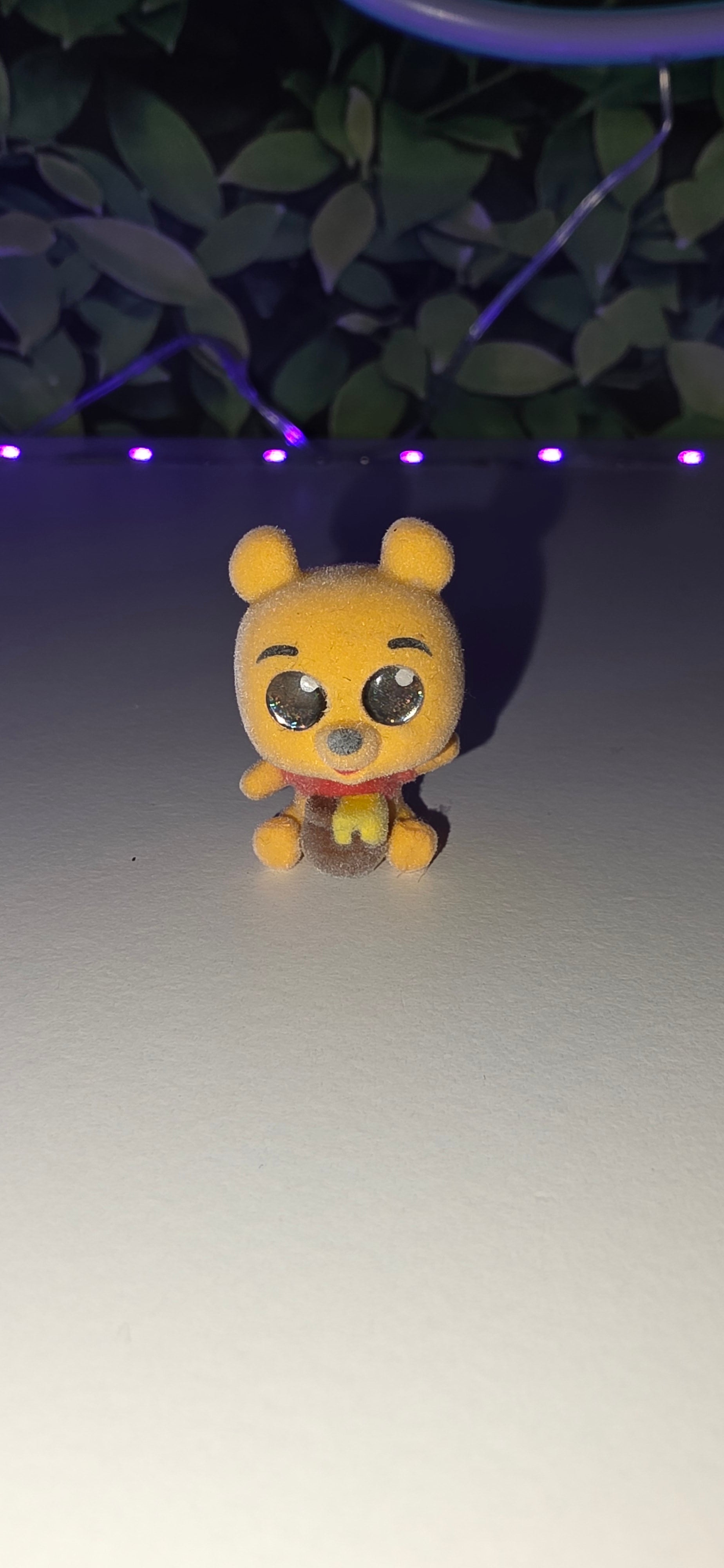 Pooh doorable